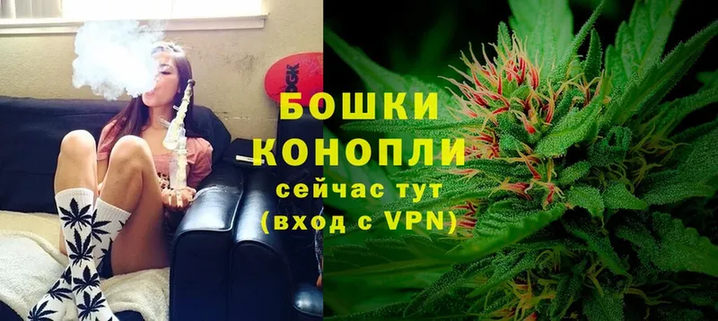 Бошки марихуана OG Kush  Кириши 